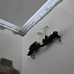 Rial Maison Maison d'hôtes Bergame